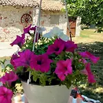Gasthof Countryside Hot & Romantic Ceprano