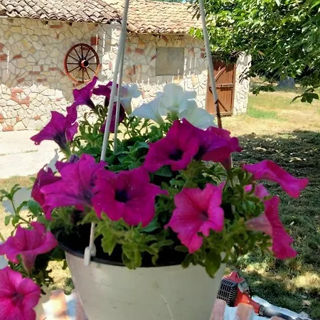 Gæstehus Countryside Hot & Romantic Ceprano