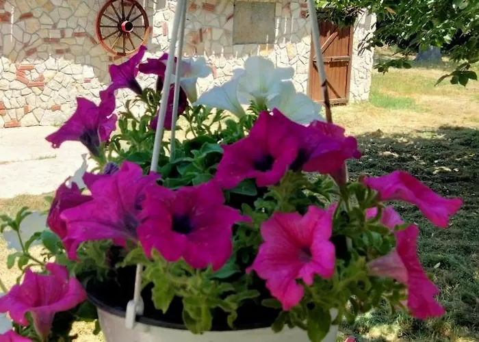 Konukevi Countryside Hot & Romantic Ceprano